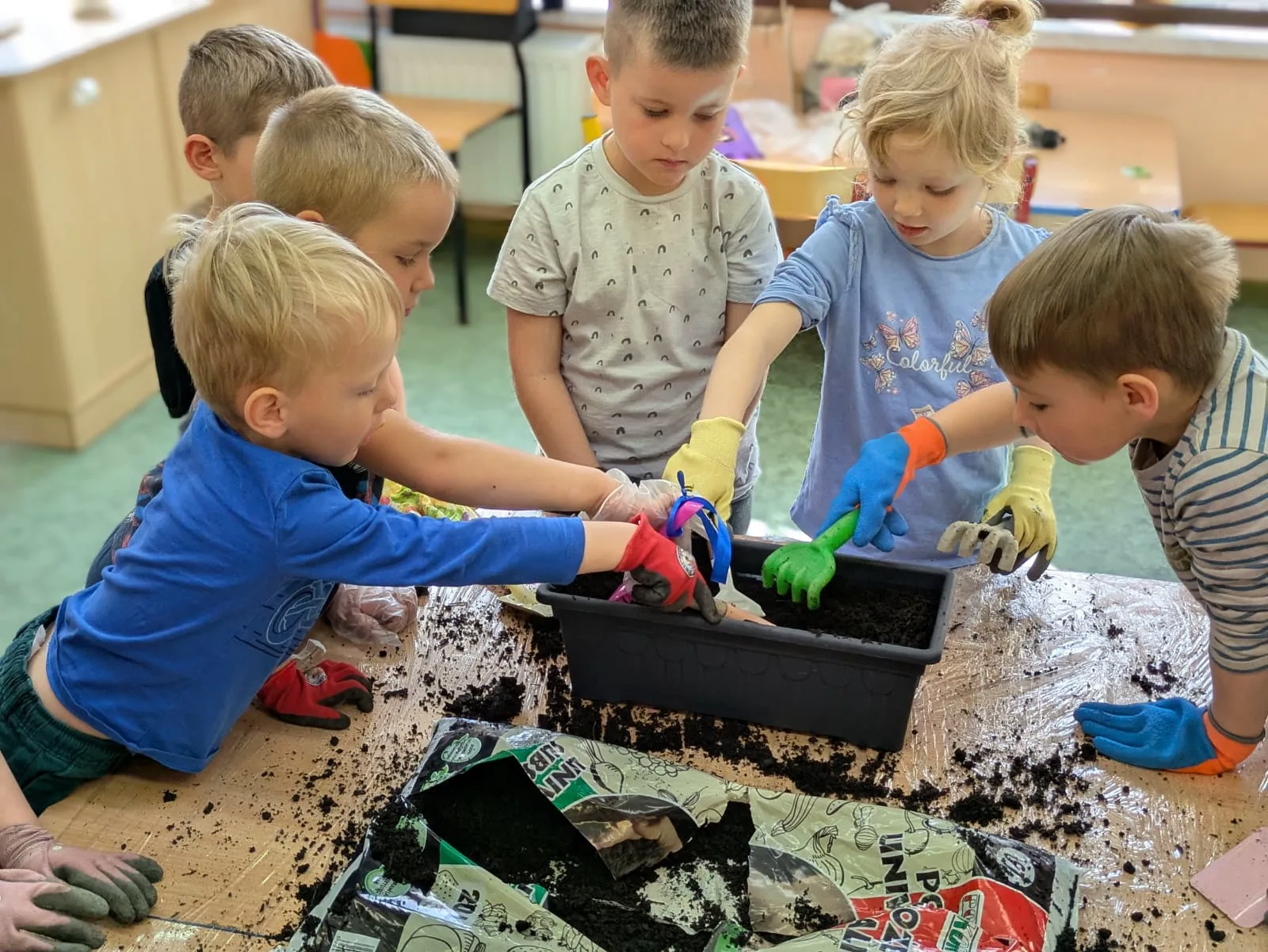 PHOTO 2025 06 03 14 06 25 4