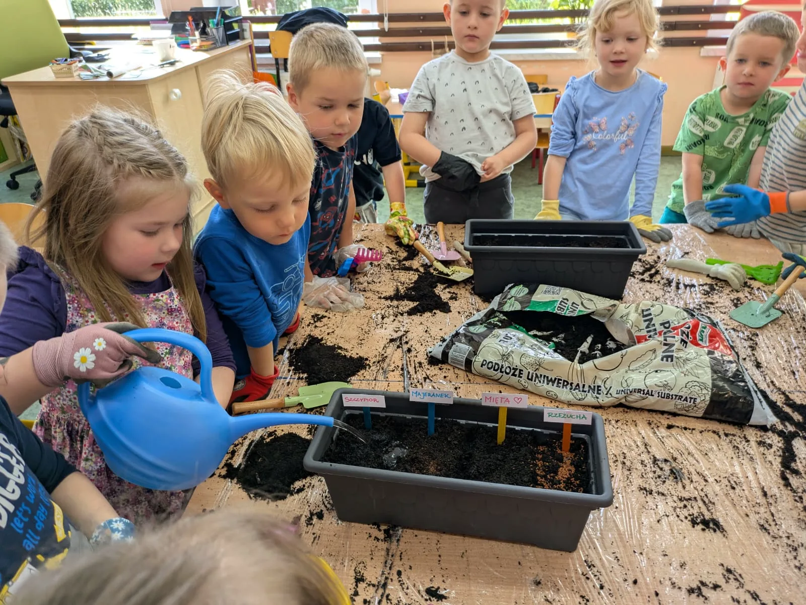 PHOTO 2025 06 03 14 06 25