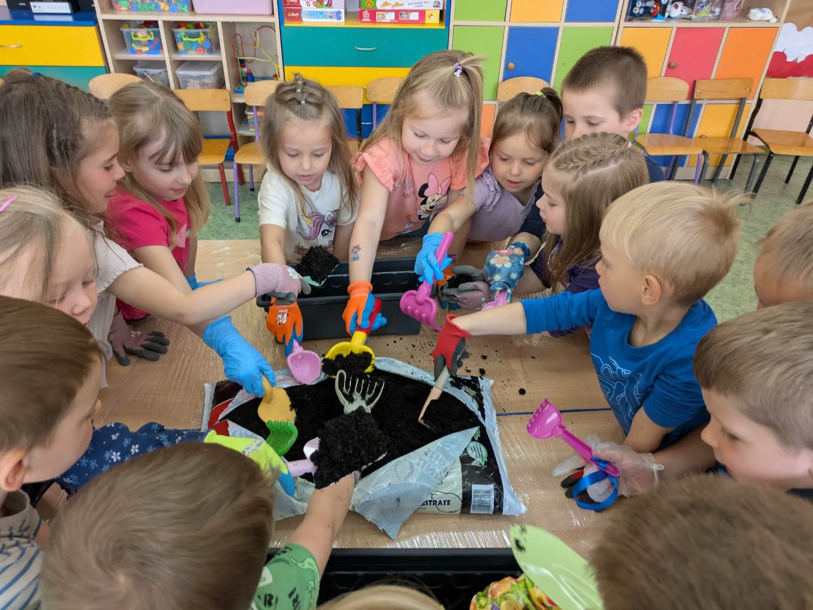 PHOTO 2025 06 03 14 06 26 3