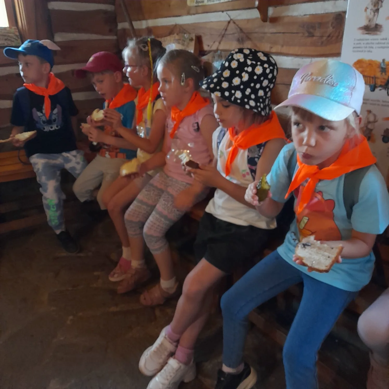 PHOTO 2025 06 23 09 47 30 4