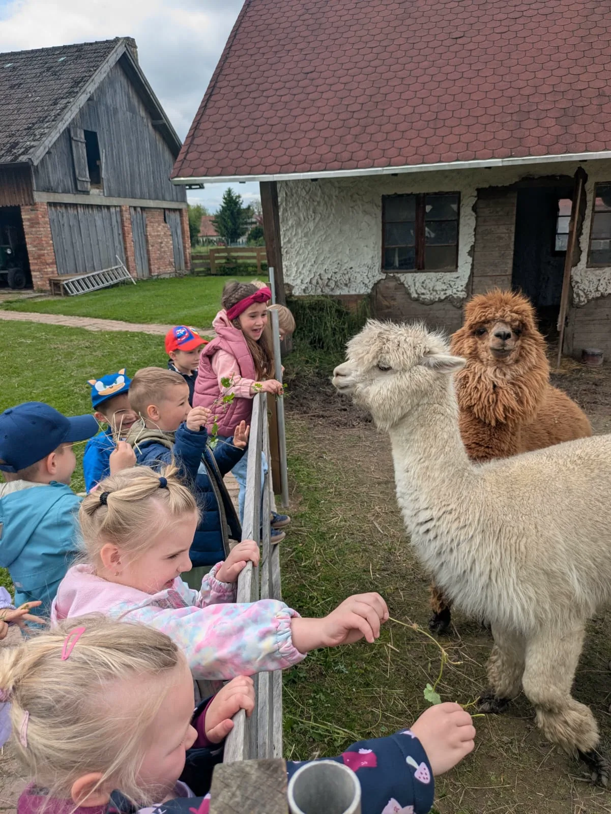 PHOTO 2025 06 12 10 43 07 2