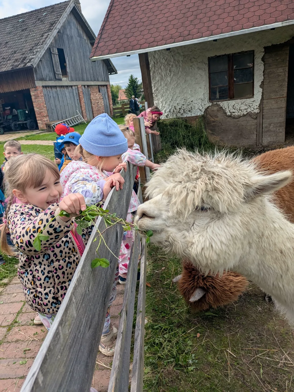 PHOTO 2025 06 12 10 43 07 3