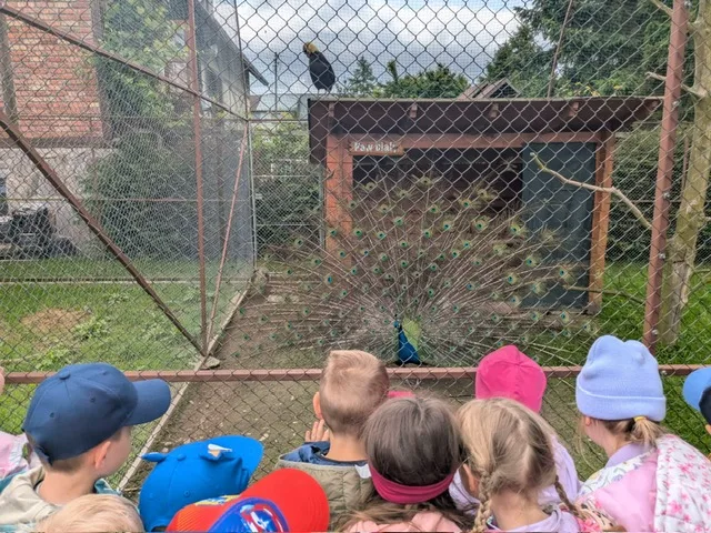 Zdjęcie 8 z albumu Zzzz