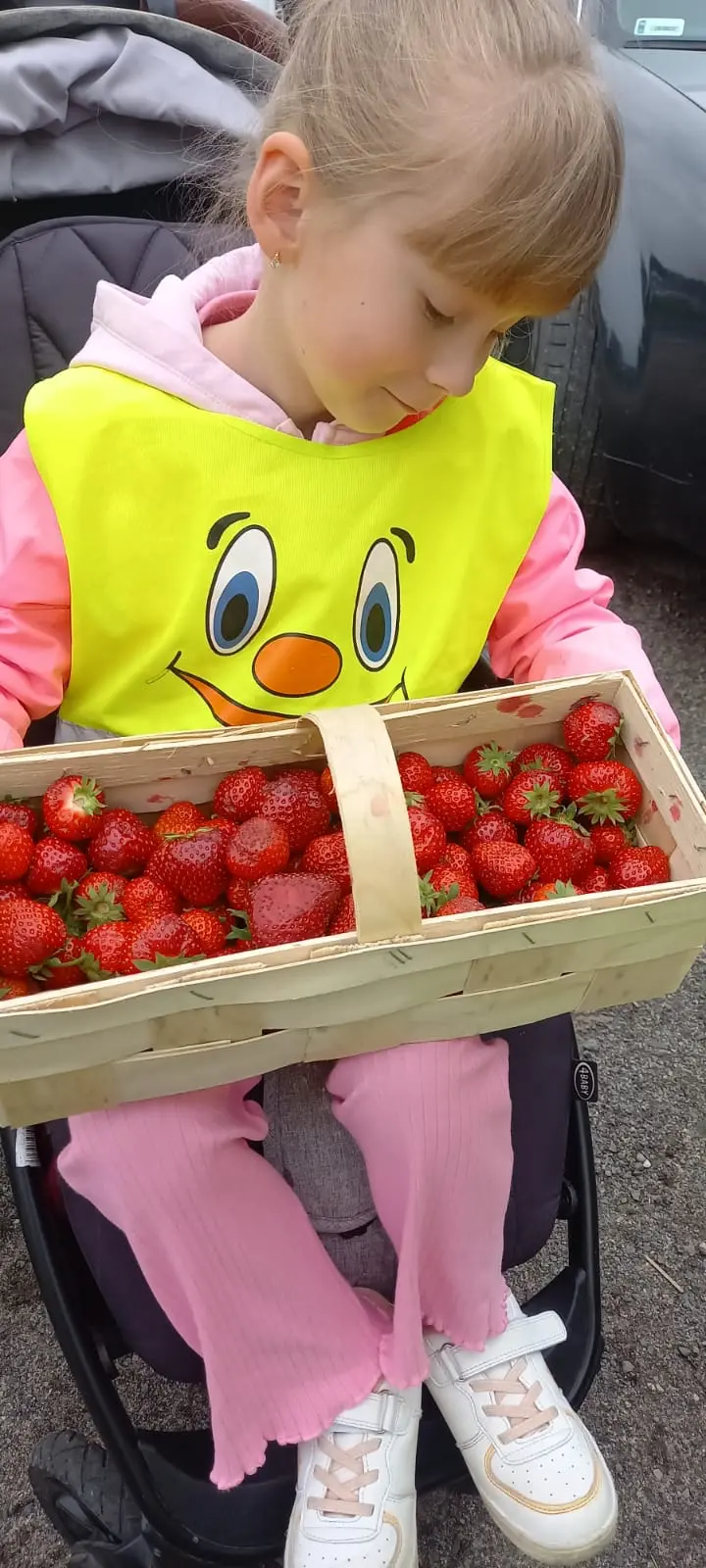 Zdjęcie 2 z galerii Dzień Truskawki.