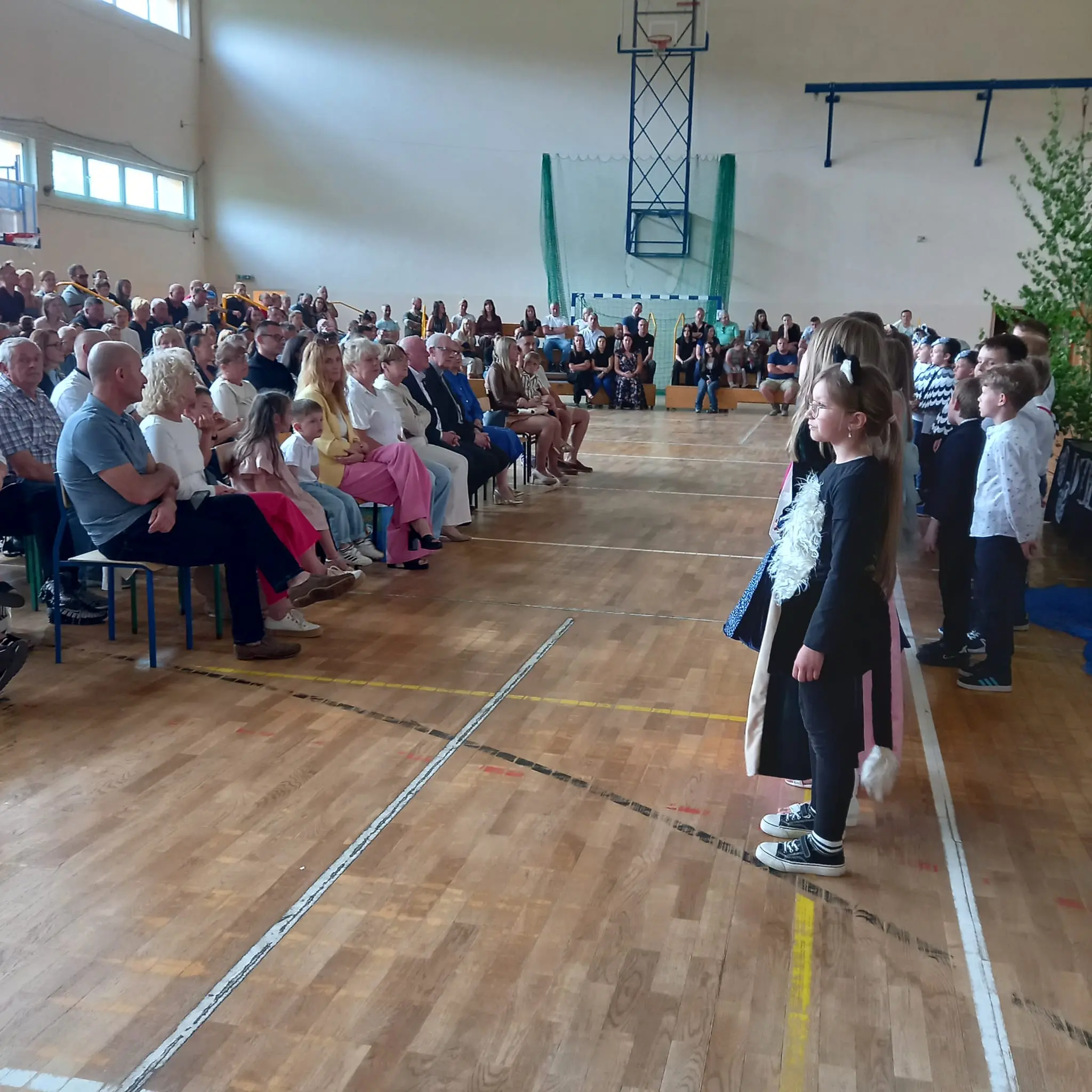 Zdjęcie 25 z galerii KOPCIUSZEK