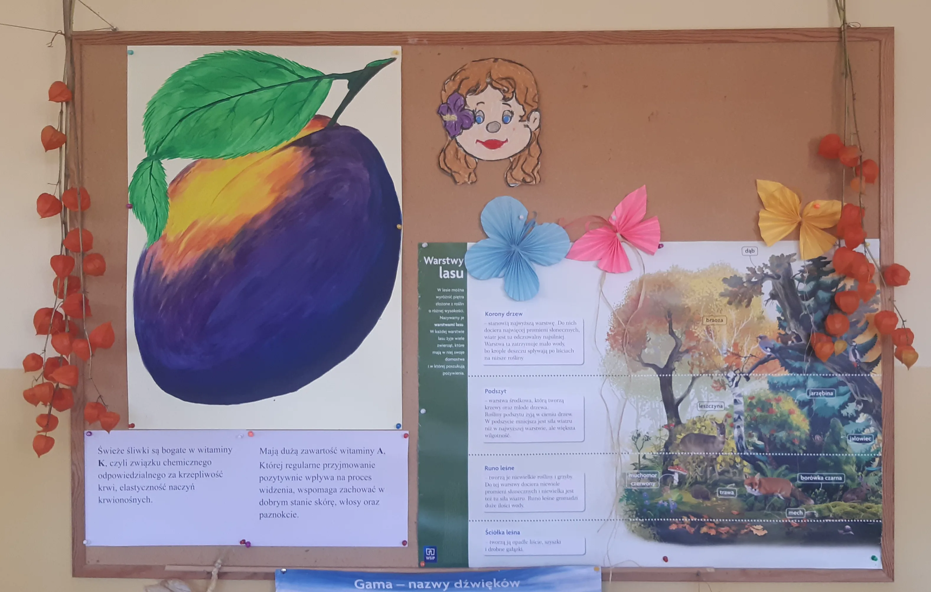 Zdjęcie 2 z albumu Wrzesien 2023