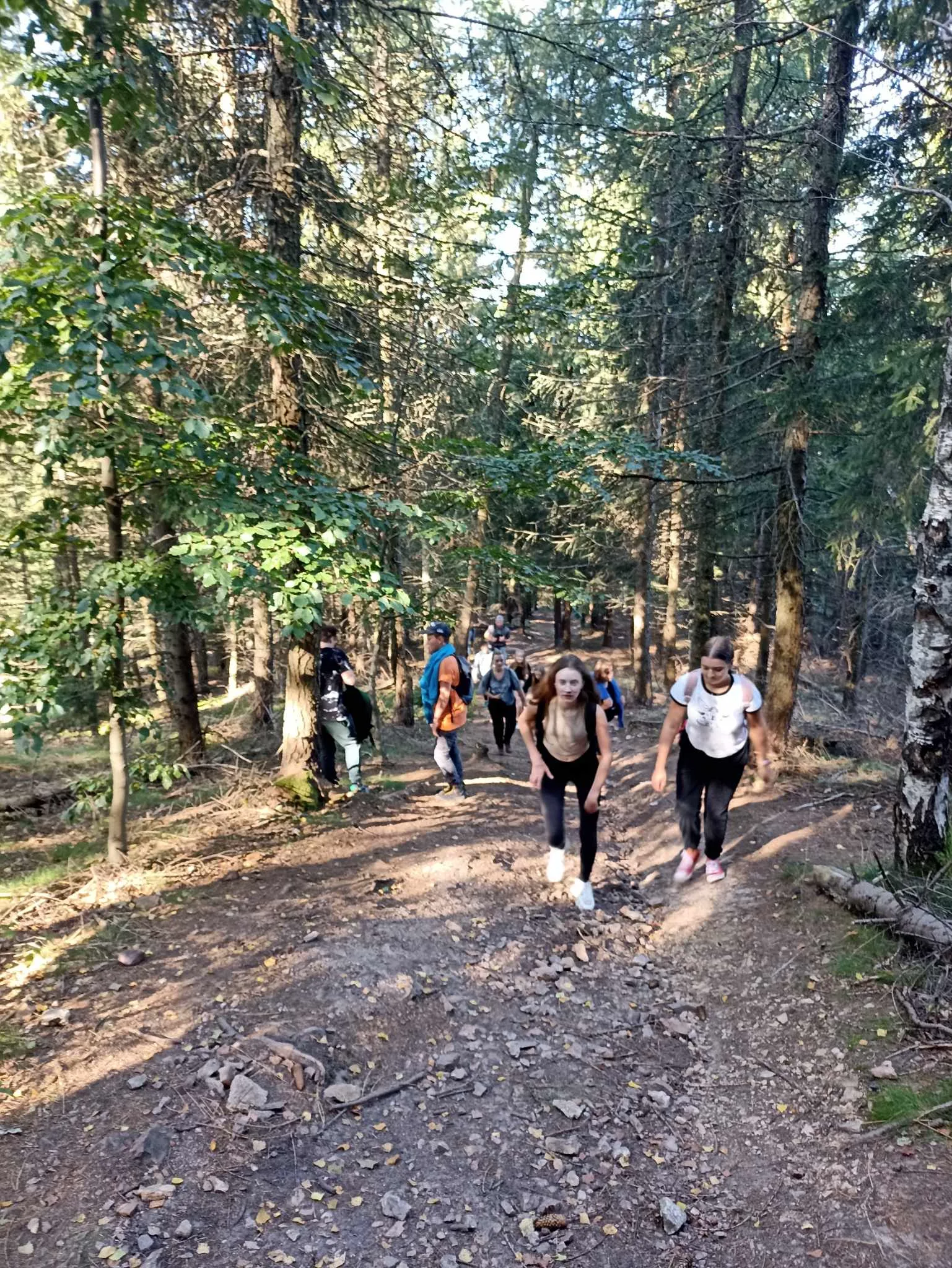 Zdjęcie 6 z albumu Wrzesien 2023