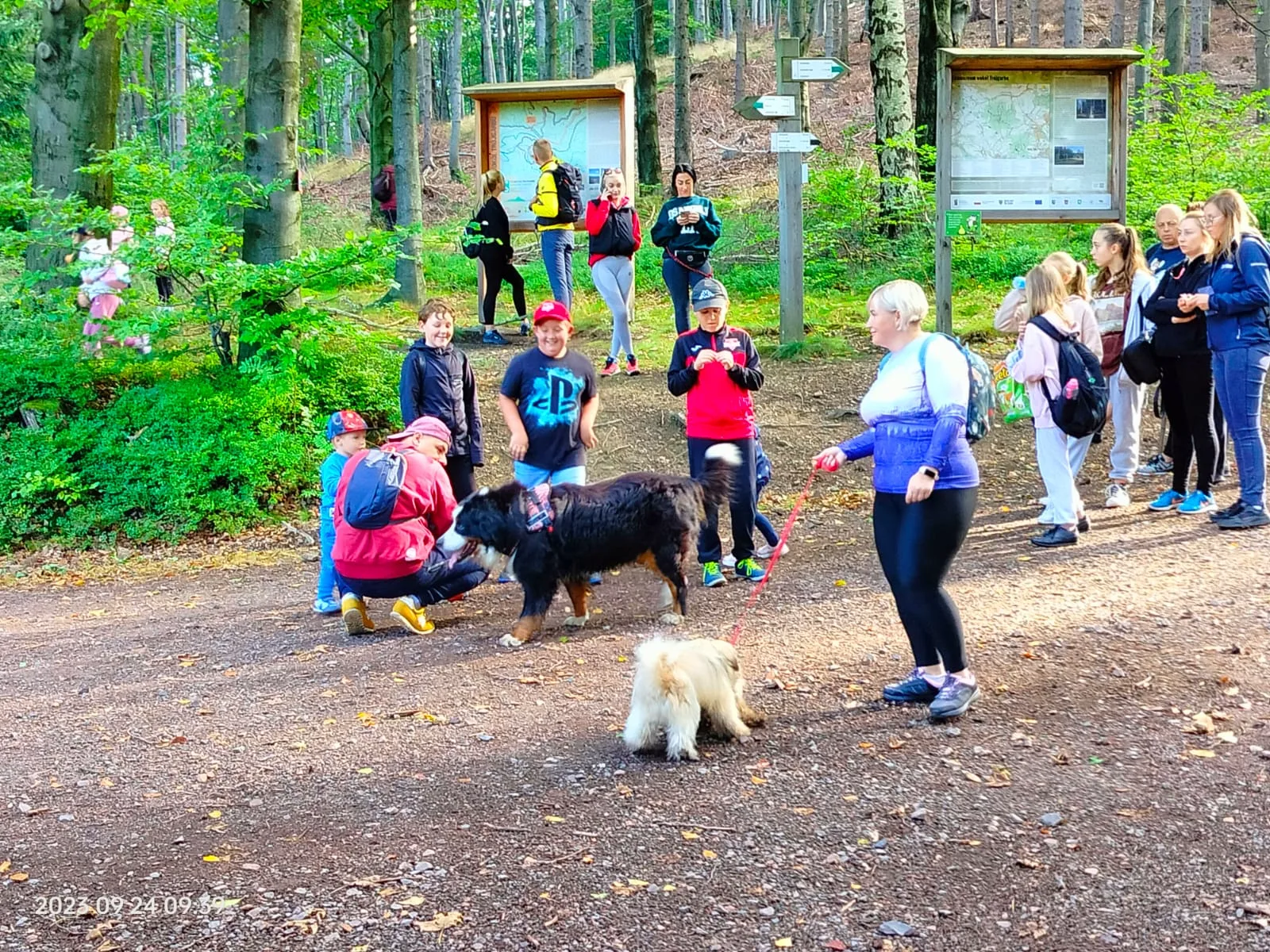 Zdjęcie 39 z albumu Wrzesien 2023