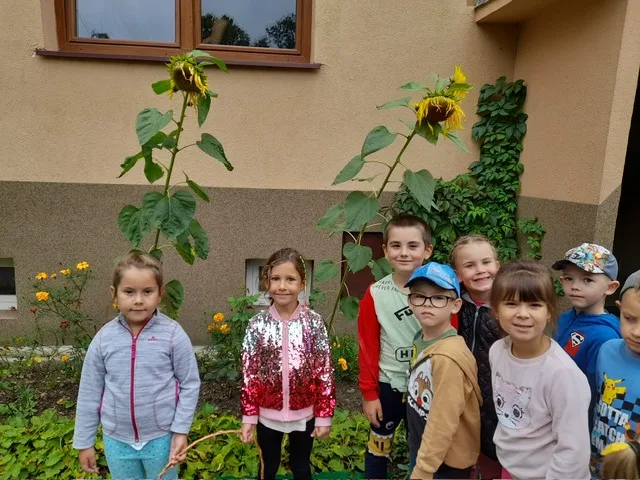 Zdjęcie 94 z albumu Wrzesien 2023