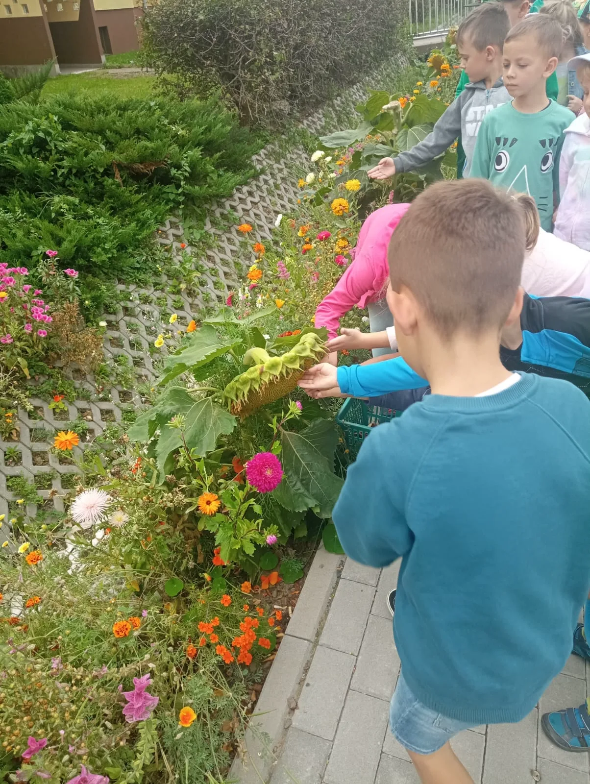 Zdjęcie 106 z albumu Wrzesien 2023