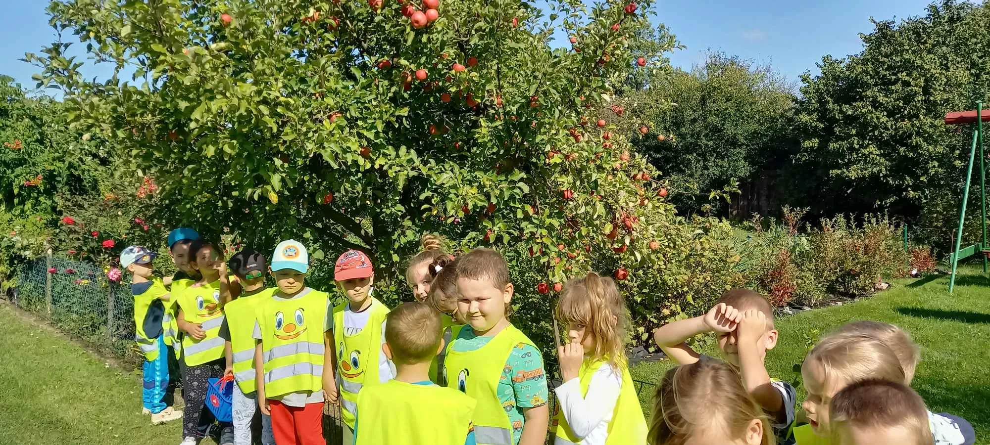 Zdjęcie 146 z albumu Wrzesien 2023