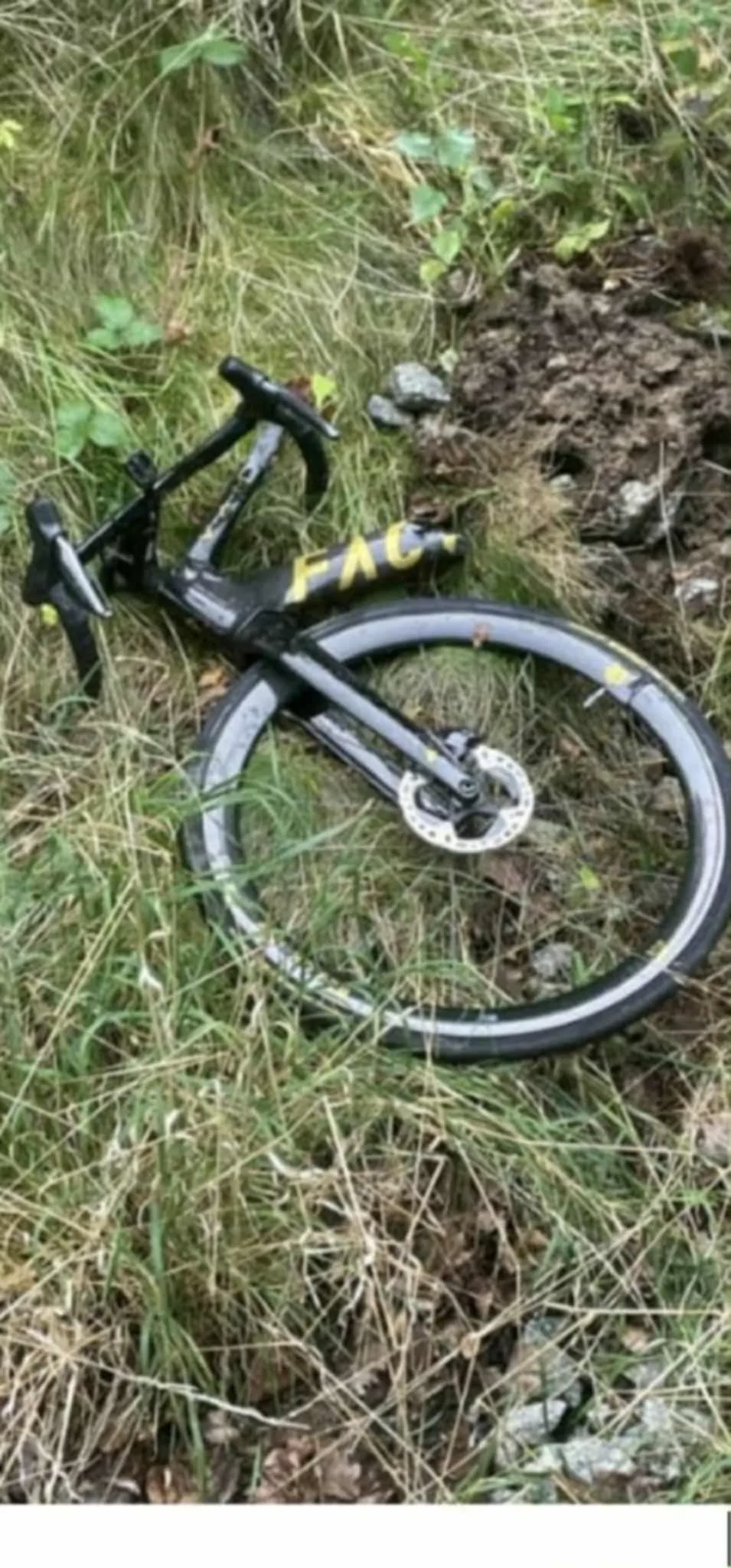 Zdjęcie 16 z albumu Przedss