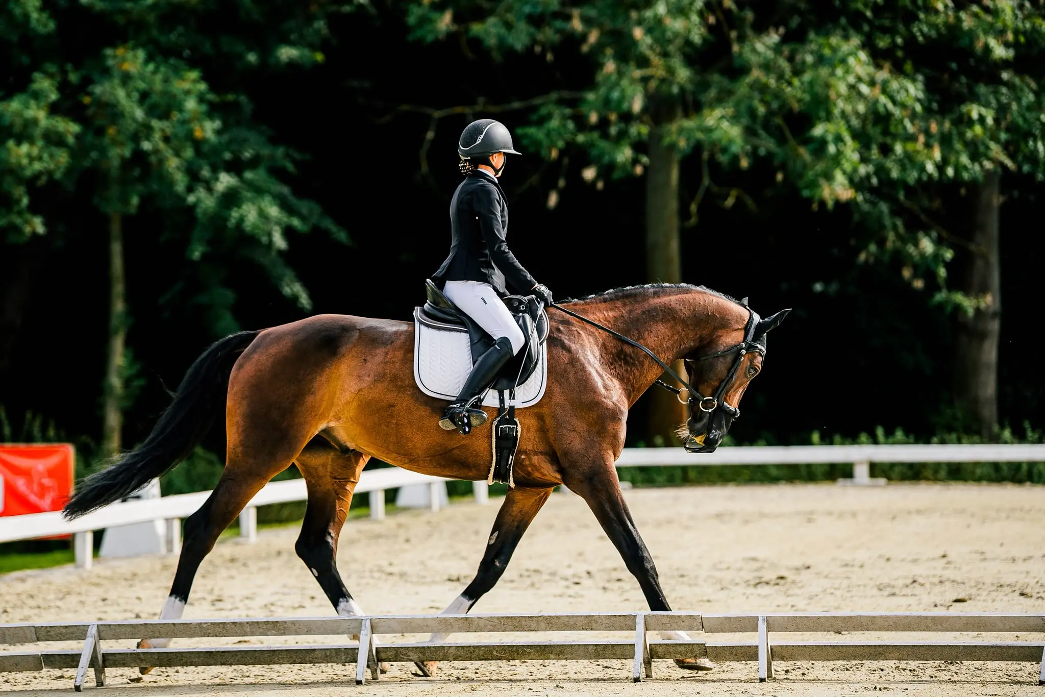 Zdjęcie 1 z galerii Autumn Show
