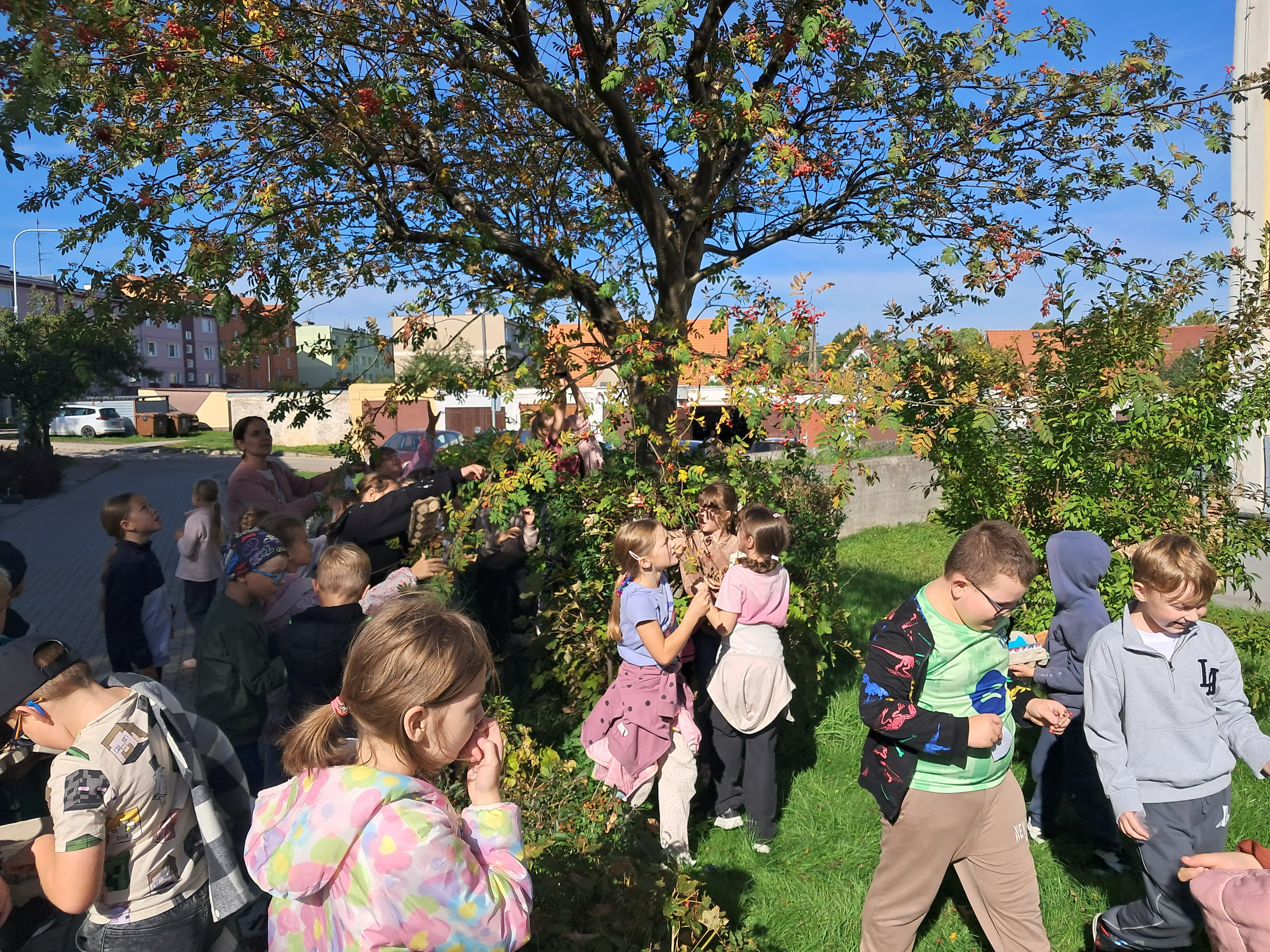 Zdjęcie 12 z galerii jesienny spacer