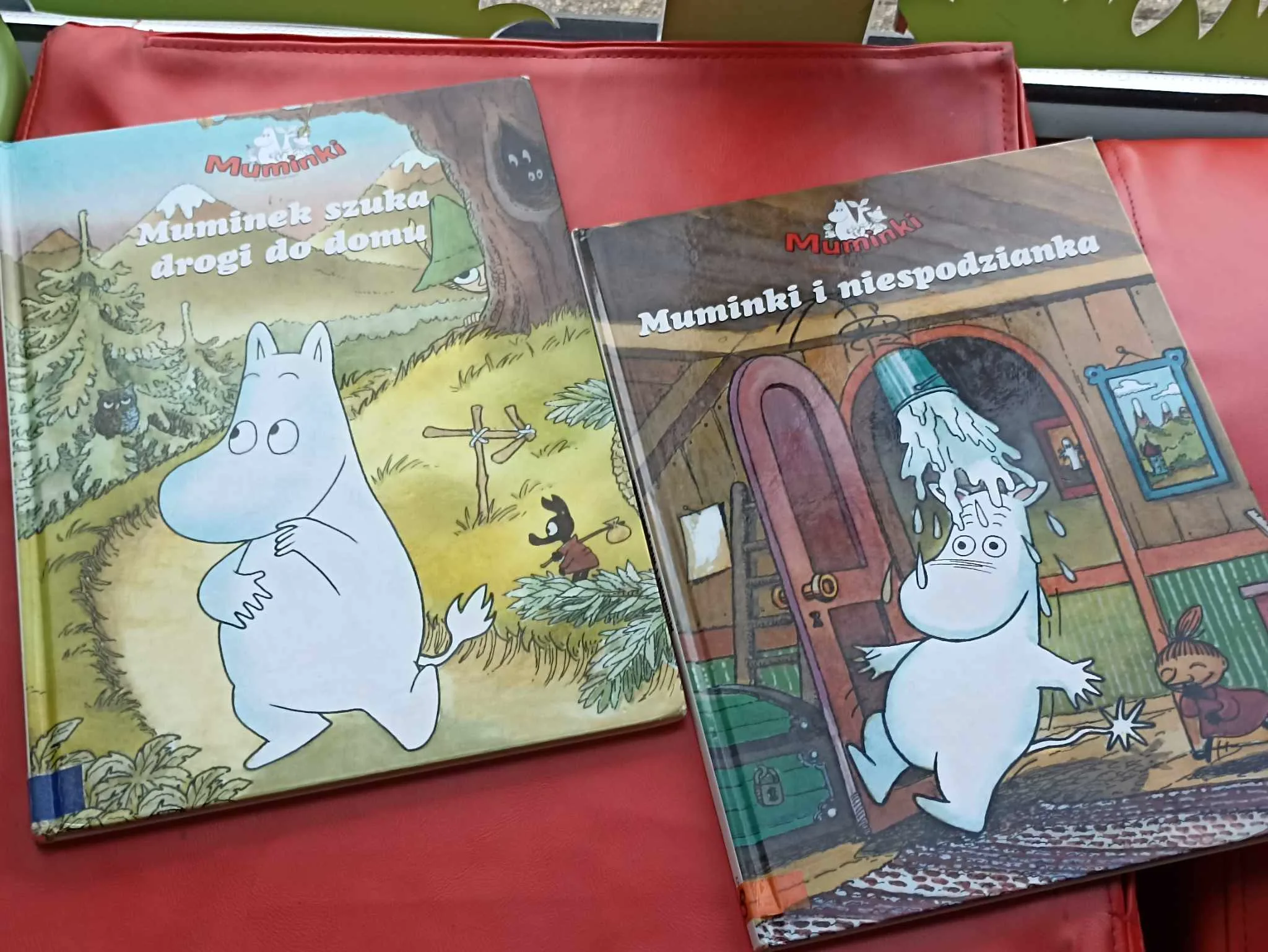 368399342 1387292458865735 5354483581851804372 n