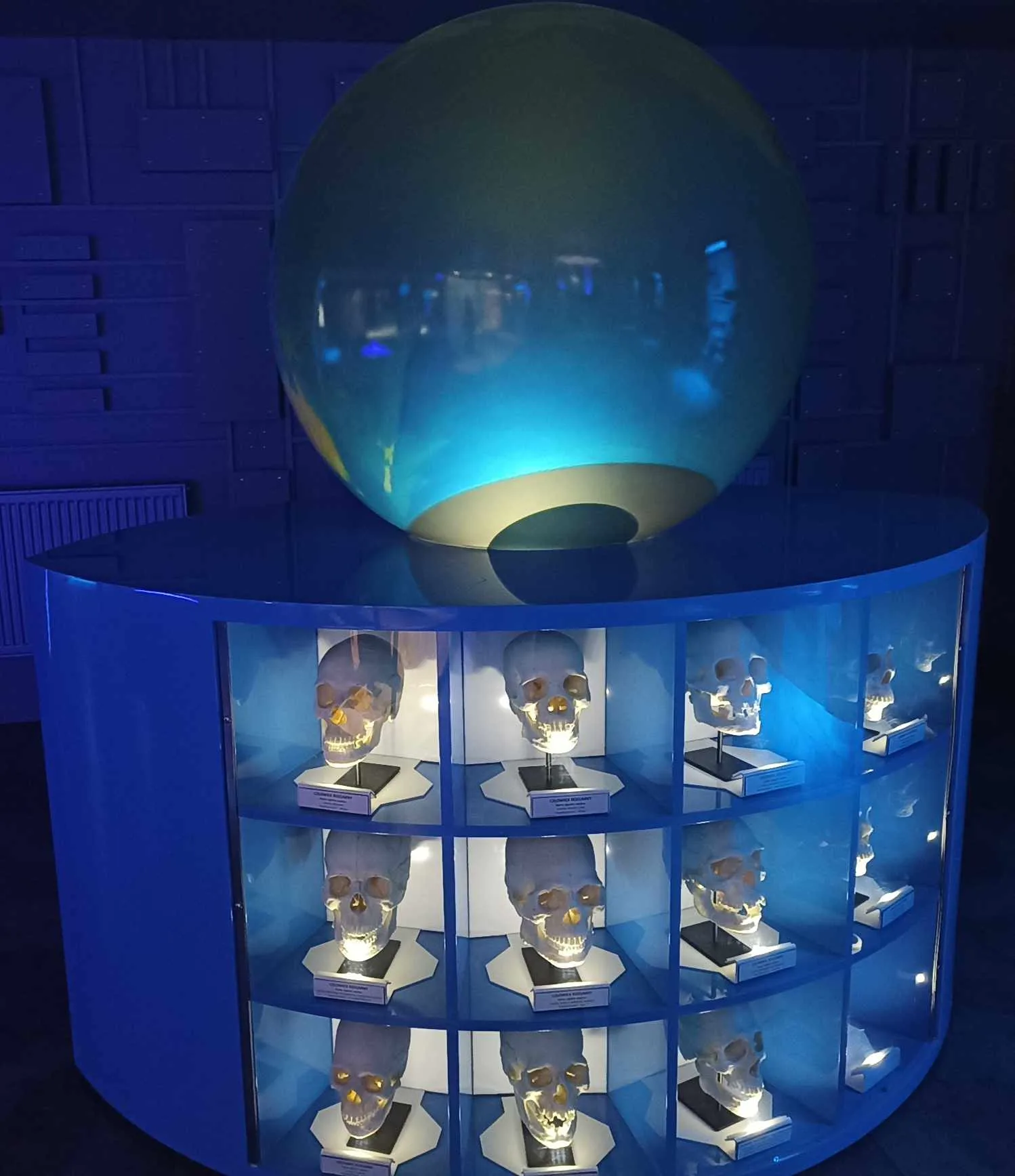 383184753 273121749024950 5039641109441955544 n