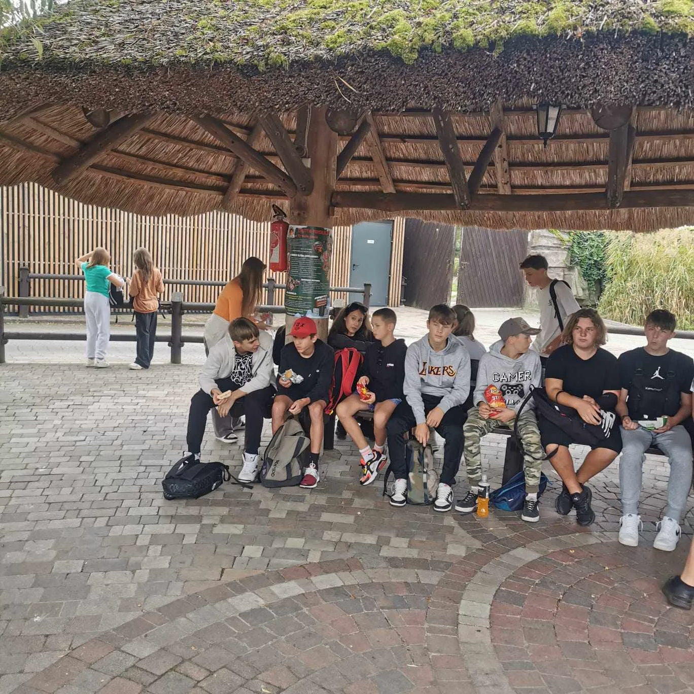 384523092 283917927858165 7248332650565848221 n