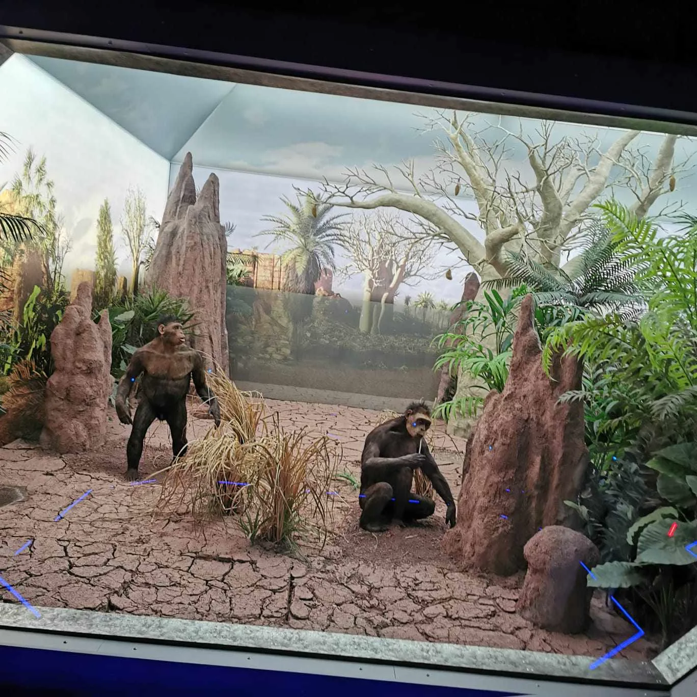 384525779 1054373169084479 7550151487125266387 n