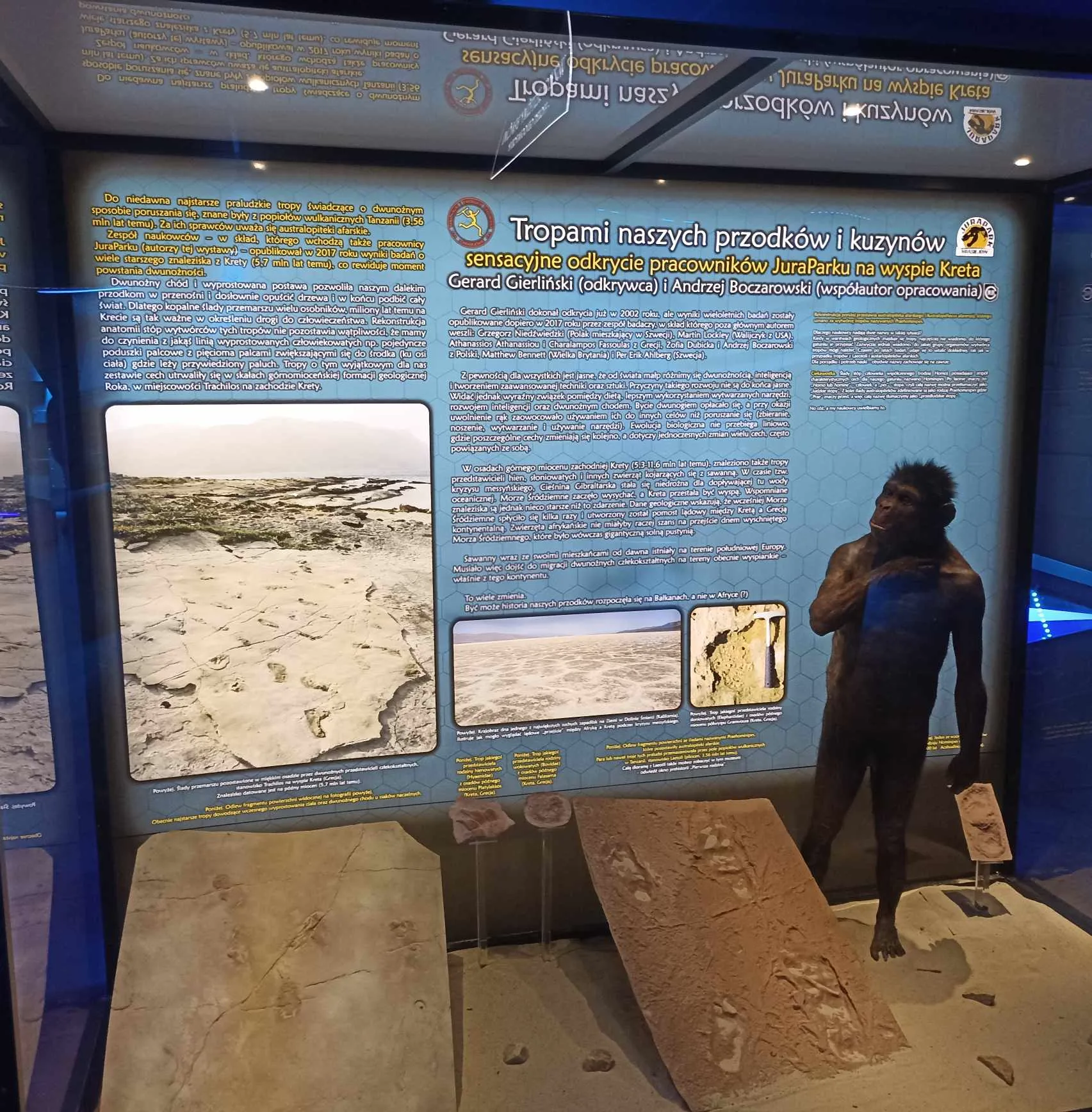 384531586 694085999444098 6483651316986914491 n