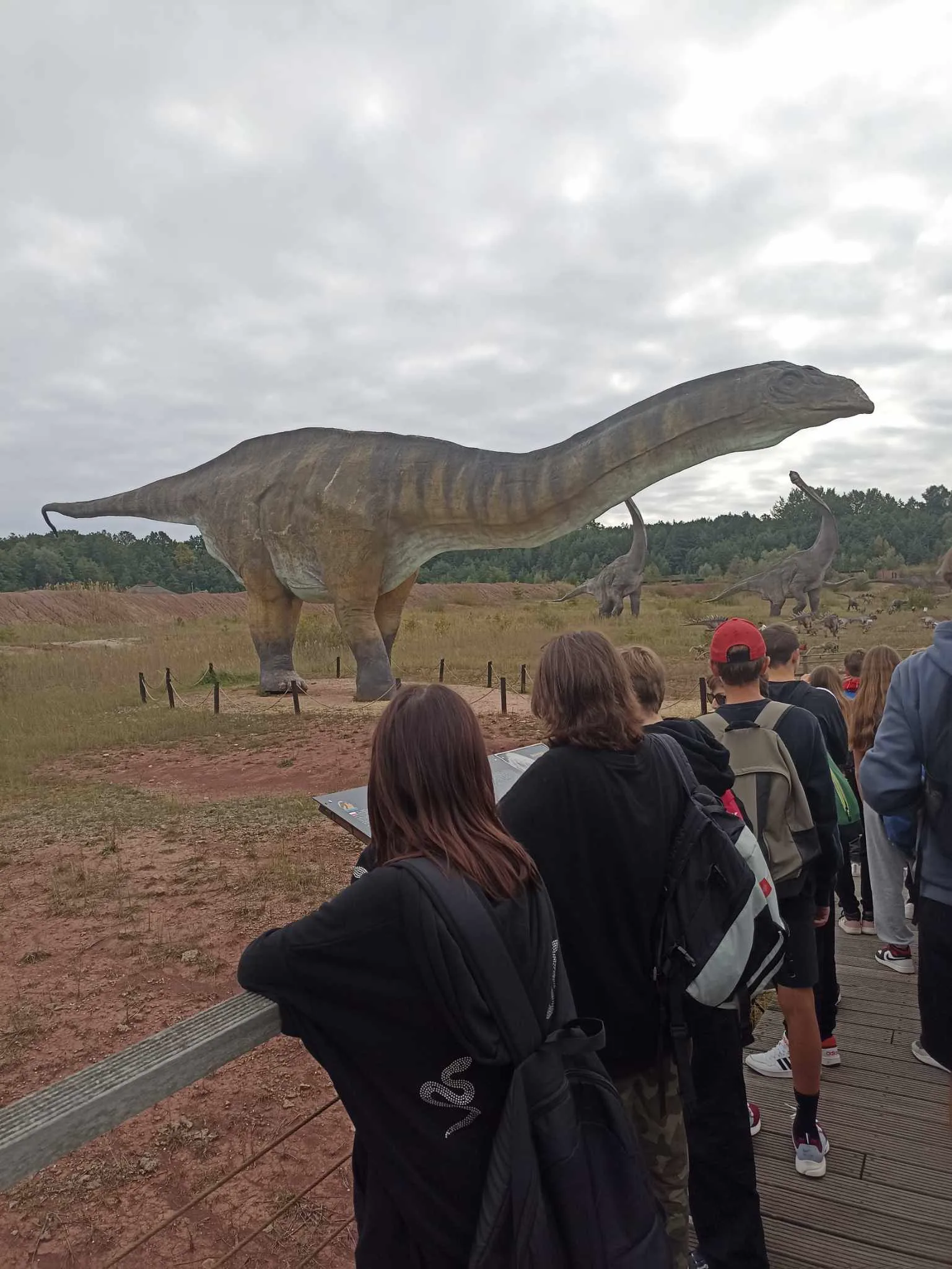 384531646 282109838086870 6268141164203143215 n