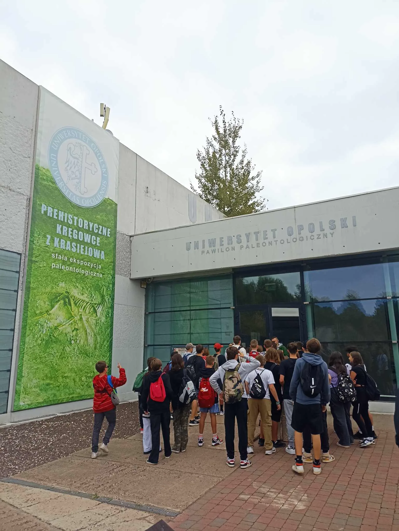 384531721 998535218082536 4148374561259473638 n