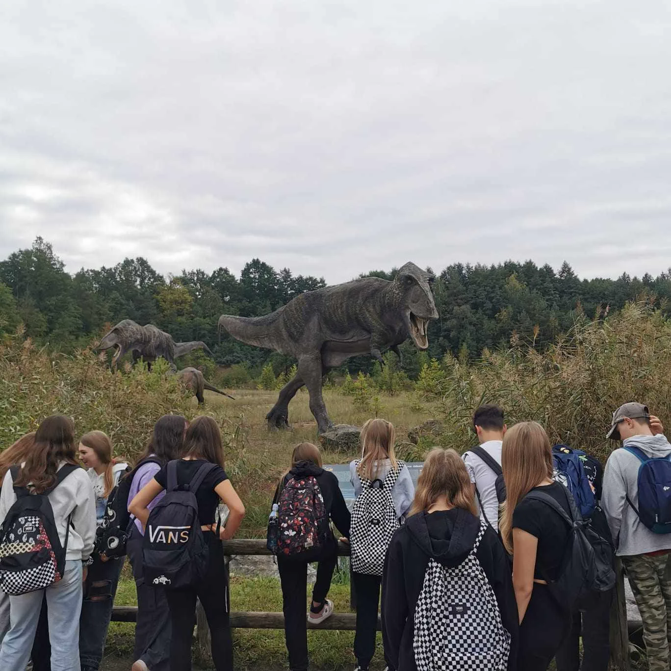 385529537 687740059626404 8400010678736339455 n