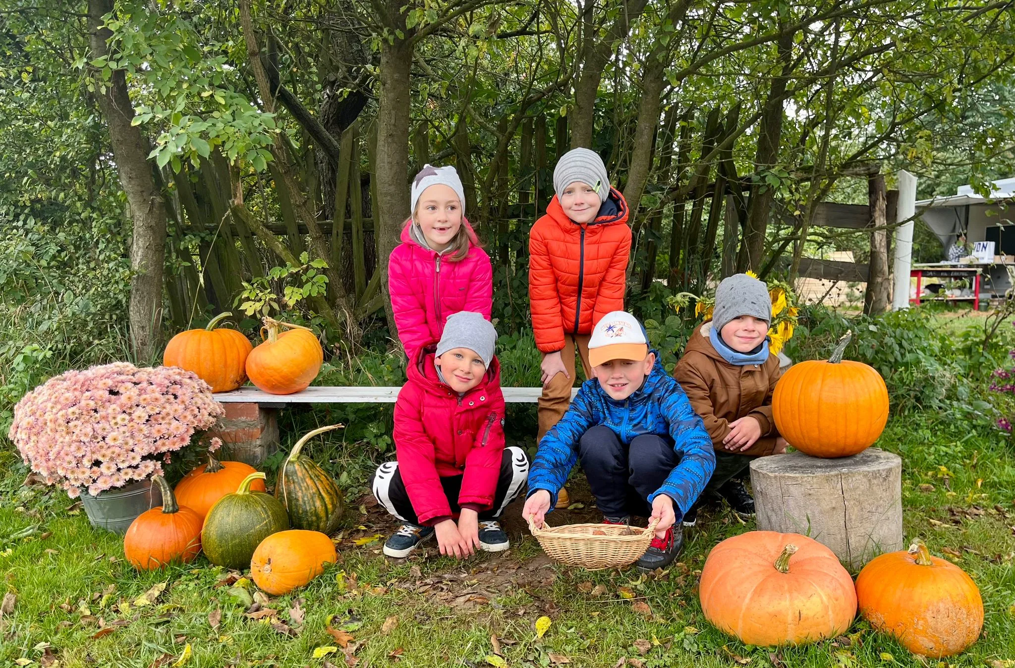 ŚWIĘTO DYNI W CHICKEN LANDZIE