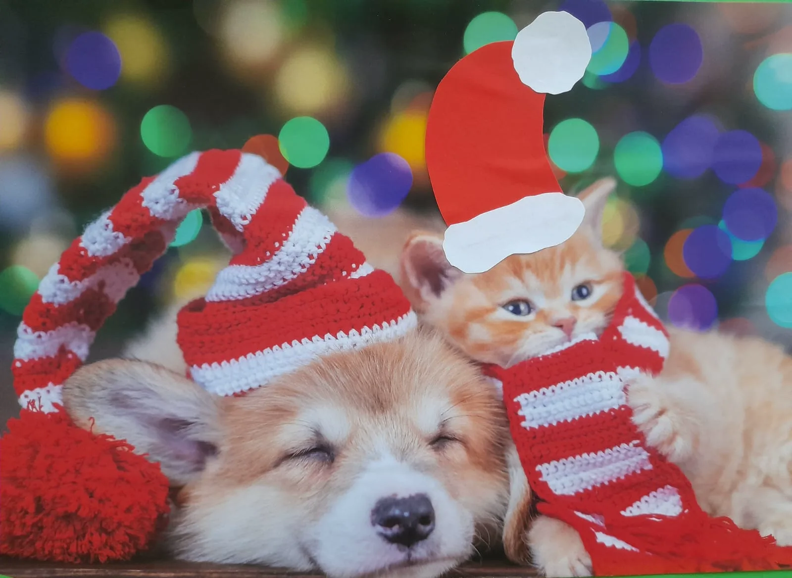 PHOTO 2023 10 20 08 37 06