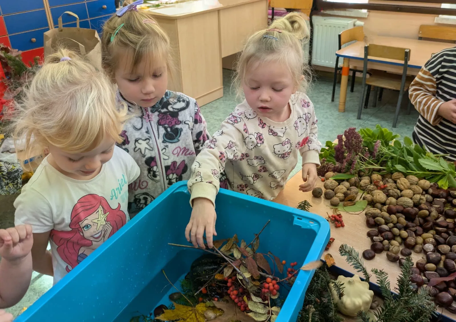 PHOTO 2024 10 24 18 05 29 3