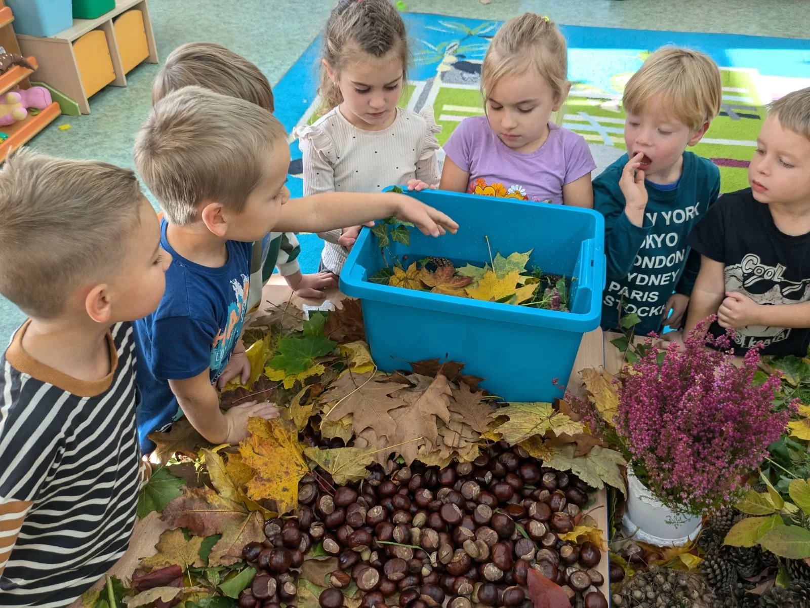 PHOTO 2024 10 24 18 05 30