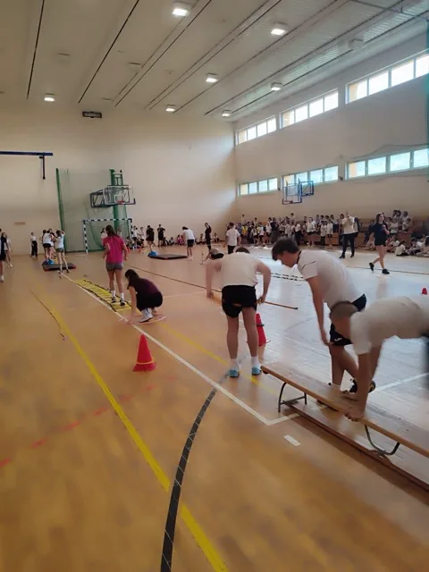 IMG 20241028 120407 Średni