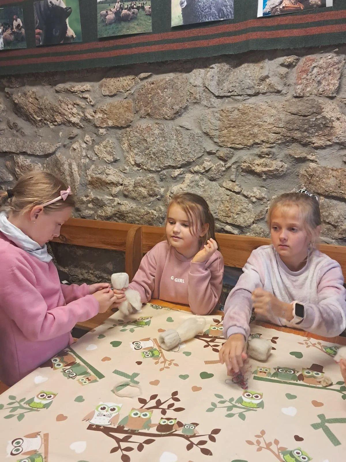 Zdjęcie 24 z albumu Wyc7