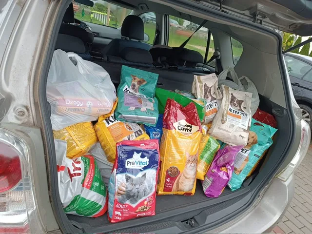 PHOTO 2025 10 14 20 22 33