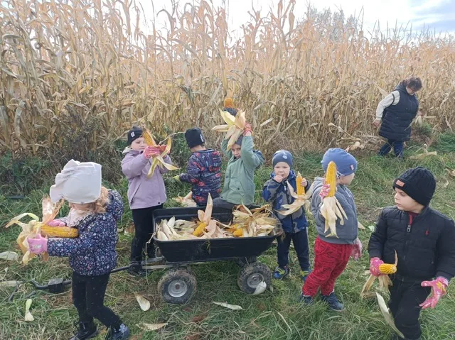 Przedszkolaki w zagrodzie Edukacyjnej
