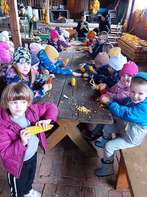 PHOTO 2025 10 22 07 46 53 4