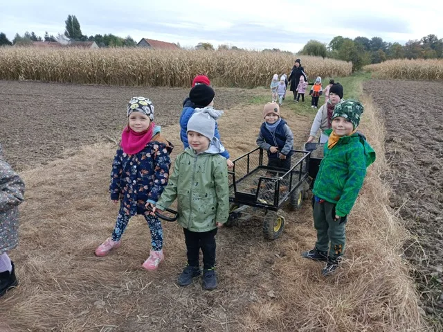 PHOTO 2025 10 22 07 46 53