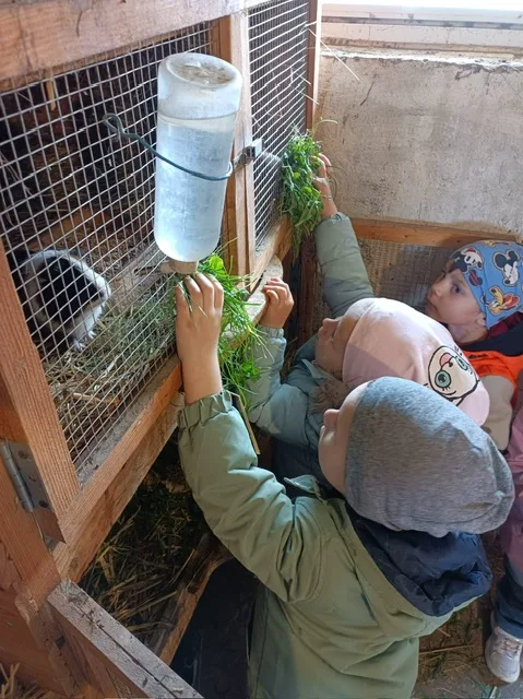 PHOTO 2025 10 22 07 46 54 3