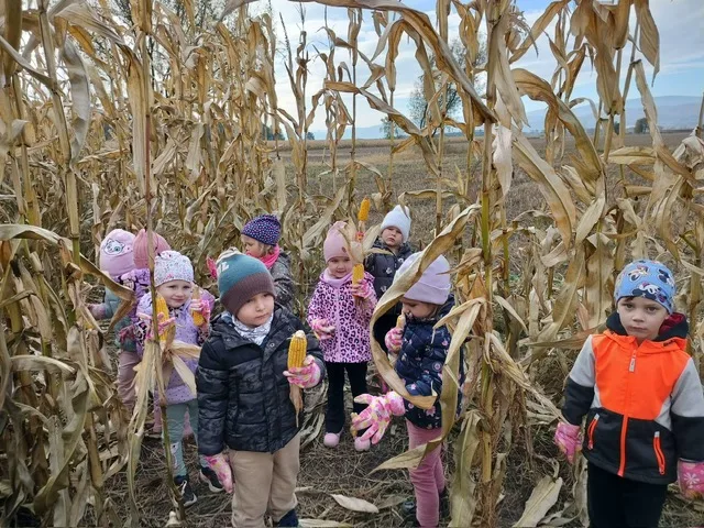 PHOTO 2025 10 22 07 46 54 4