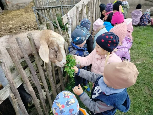 PHOTO 2025 10 22 07 46 54 7