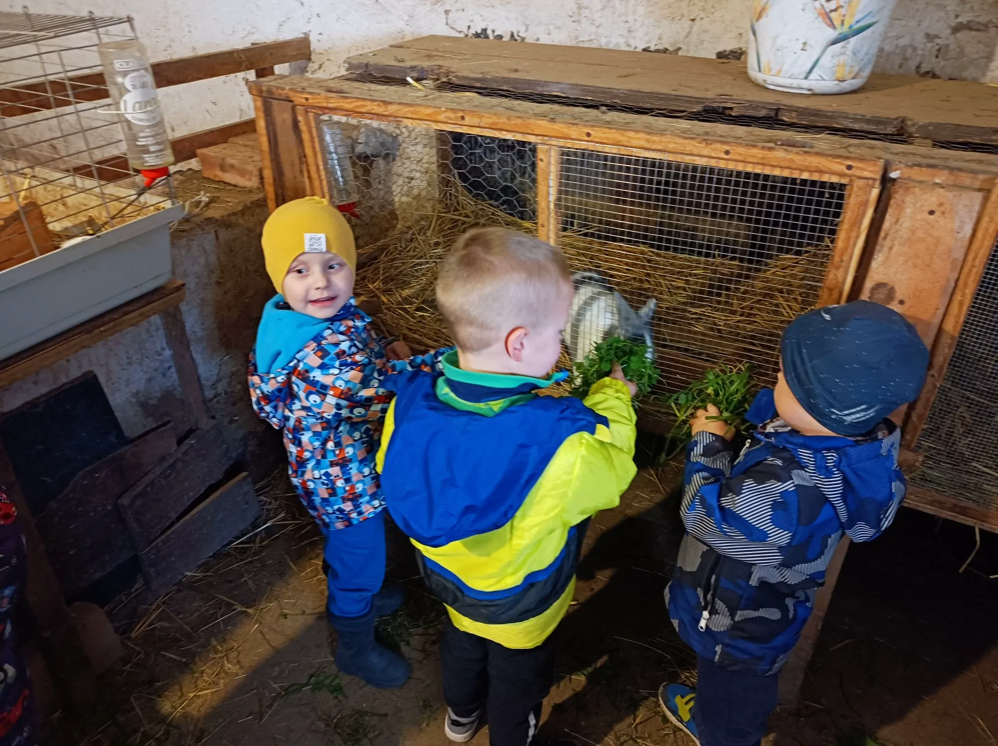 PHOTO 2025 10 22 07 46 54