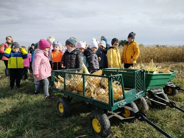 PHOTO 2025 10 22 07 46 55 2