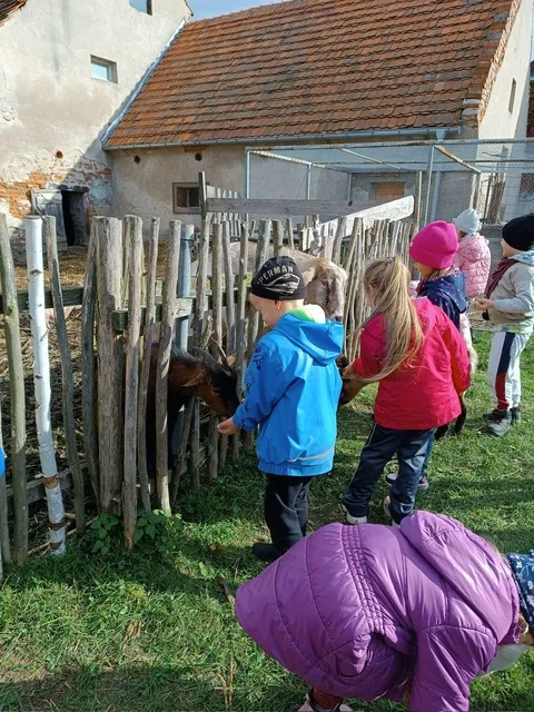 PHOTO 2025 10 22 07 46 55 3