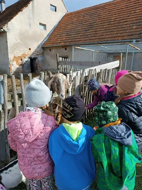 PHOTO 2025 10 22 07 46 55 4