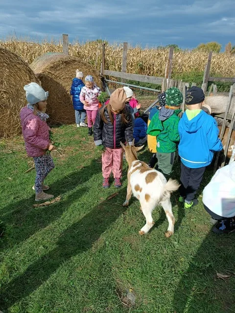 PHOTO 2025 10 22 07 46 55 5