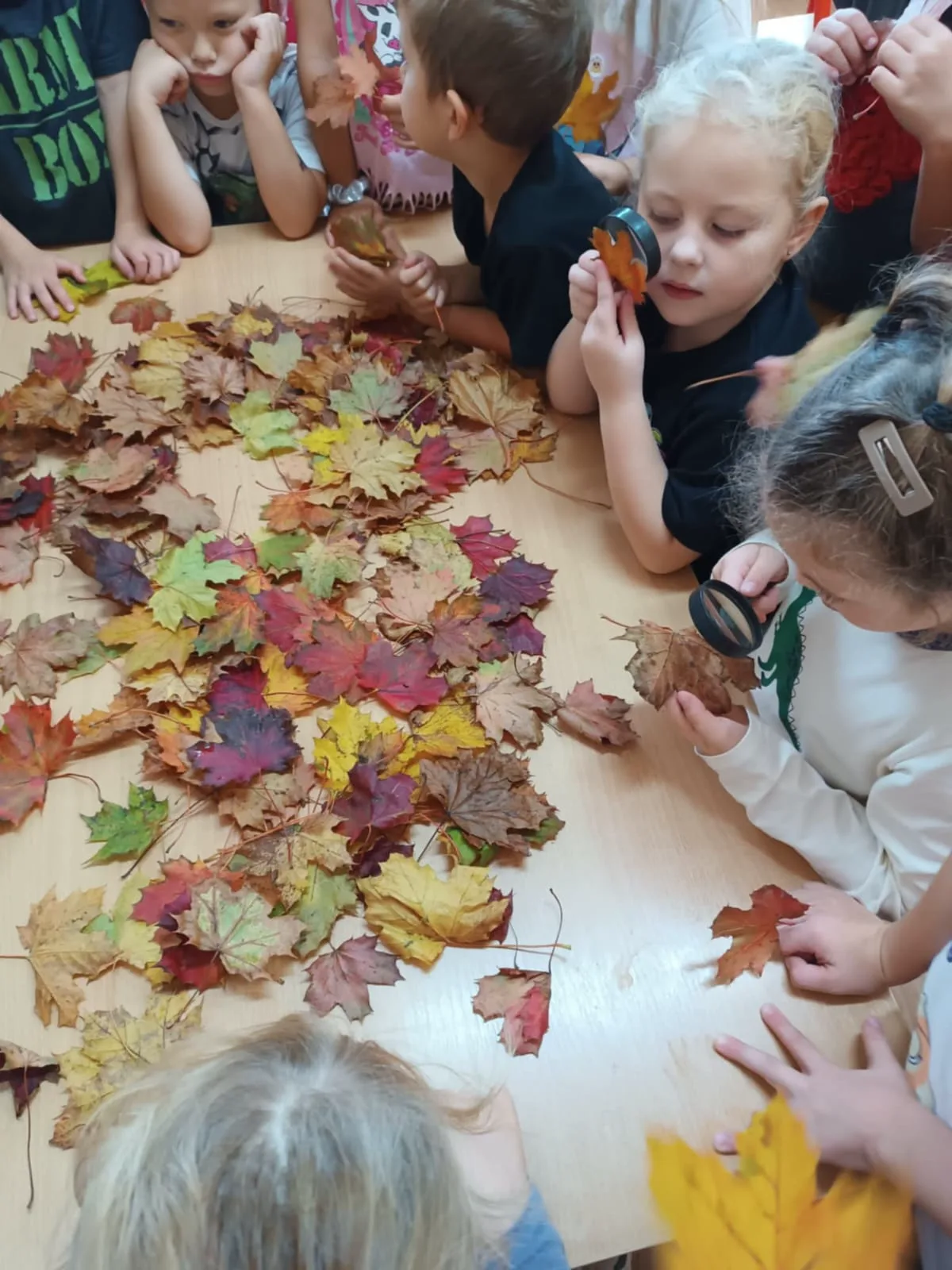 PHOTO 2025 10 16 17 33 22 2