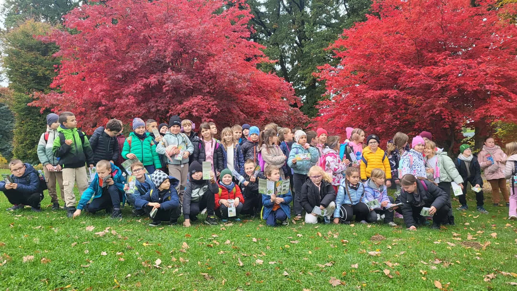 LEKCJA PRZYRODY W TERENIE