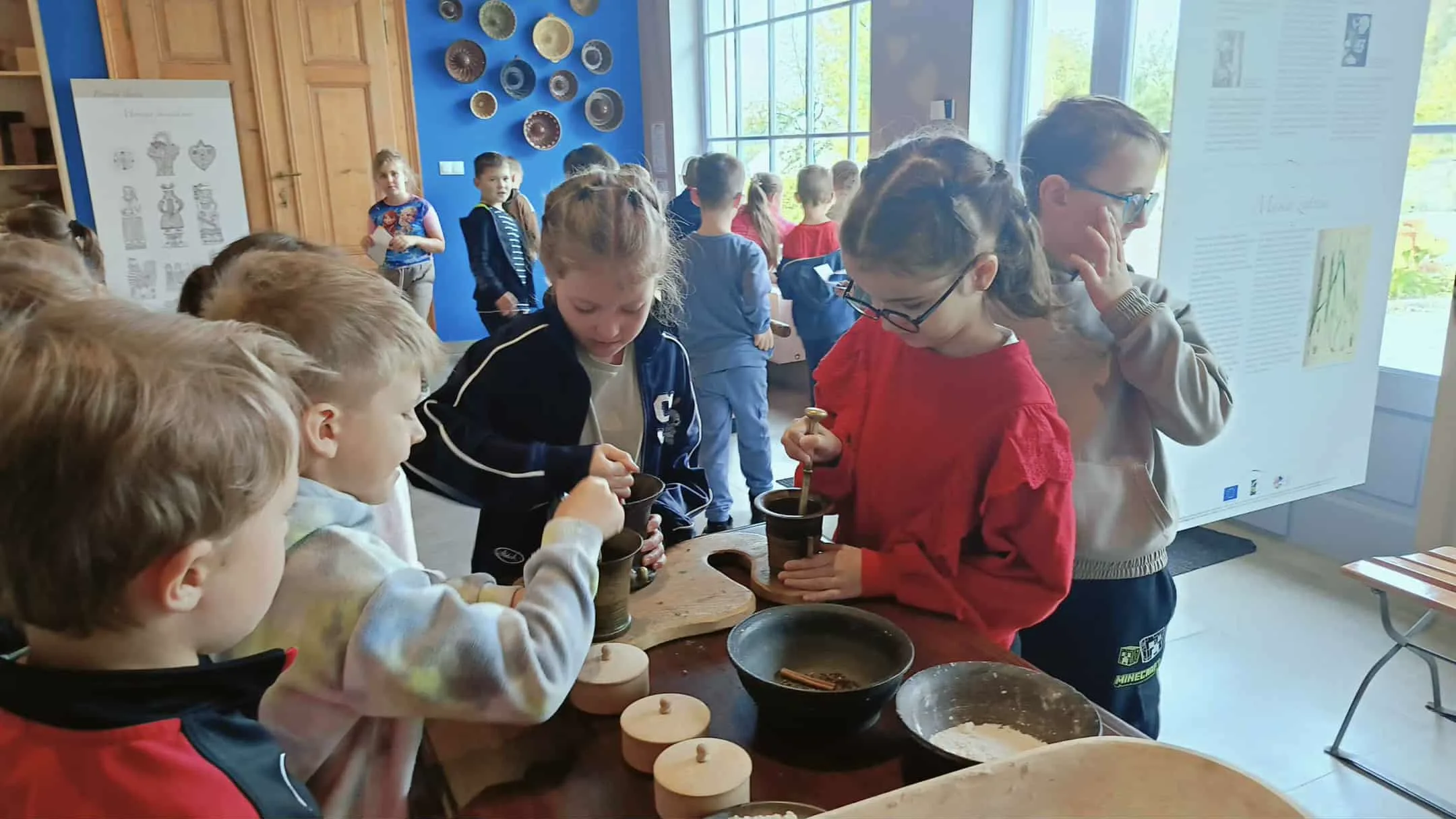 Zdjęcie 10 z albumu Przyroda