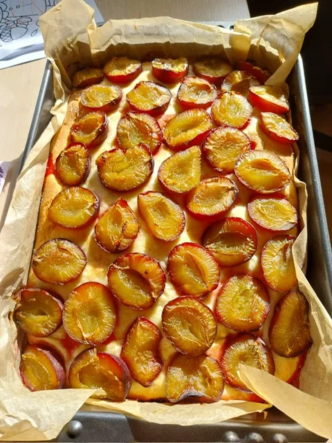 PHOTO 2025 10 20 06 46 55 1