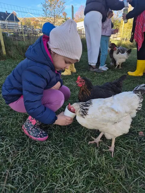 Zdjęcie 21 z galerii Chicken Land