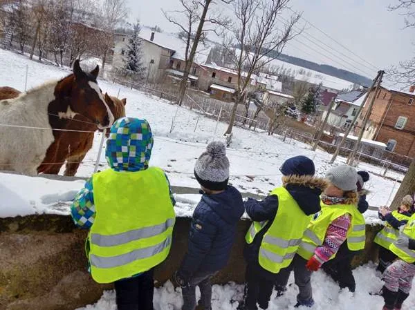 received 1006112206581373.jpeg